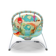 Baby Bouncer with Calming Vibration