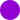 purple  + 130 AED 